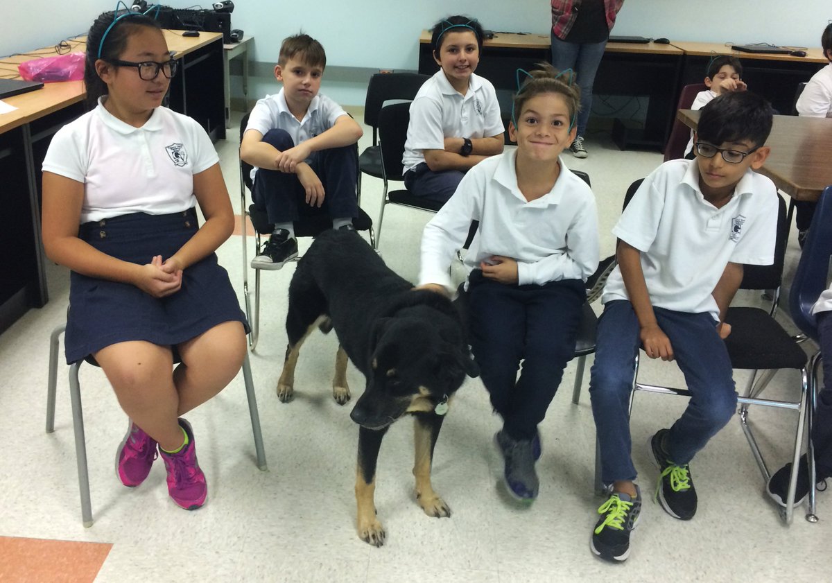 EMSBBASE's tweet photo. BASE students (and staff!) enjoyed their #AnimalWelfare Education activity by Colleen & Emily from ENGAGE this week! #ENGAGEanimal #EMSBBASE https://t.co/z4TMnZNLXy