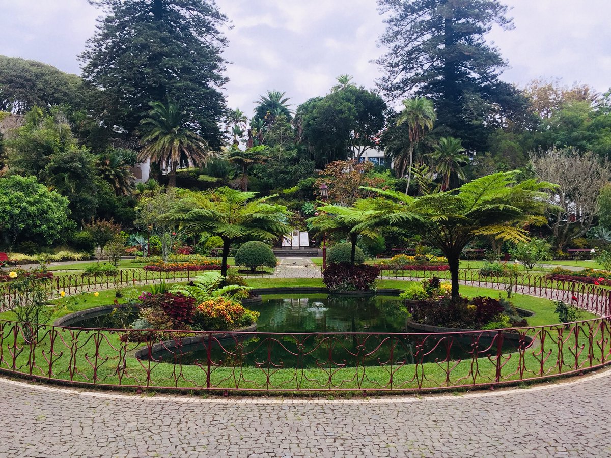 Javier Mazorra tweet media