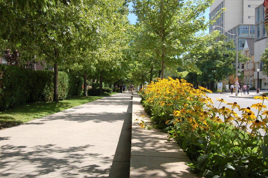 Urban street trees slow down drivers by framing streets. We need to connect the dots + integrate trees along streets as part of #VisionZero