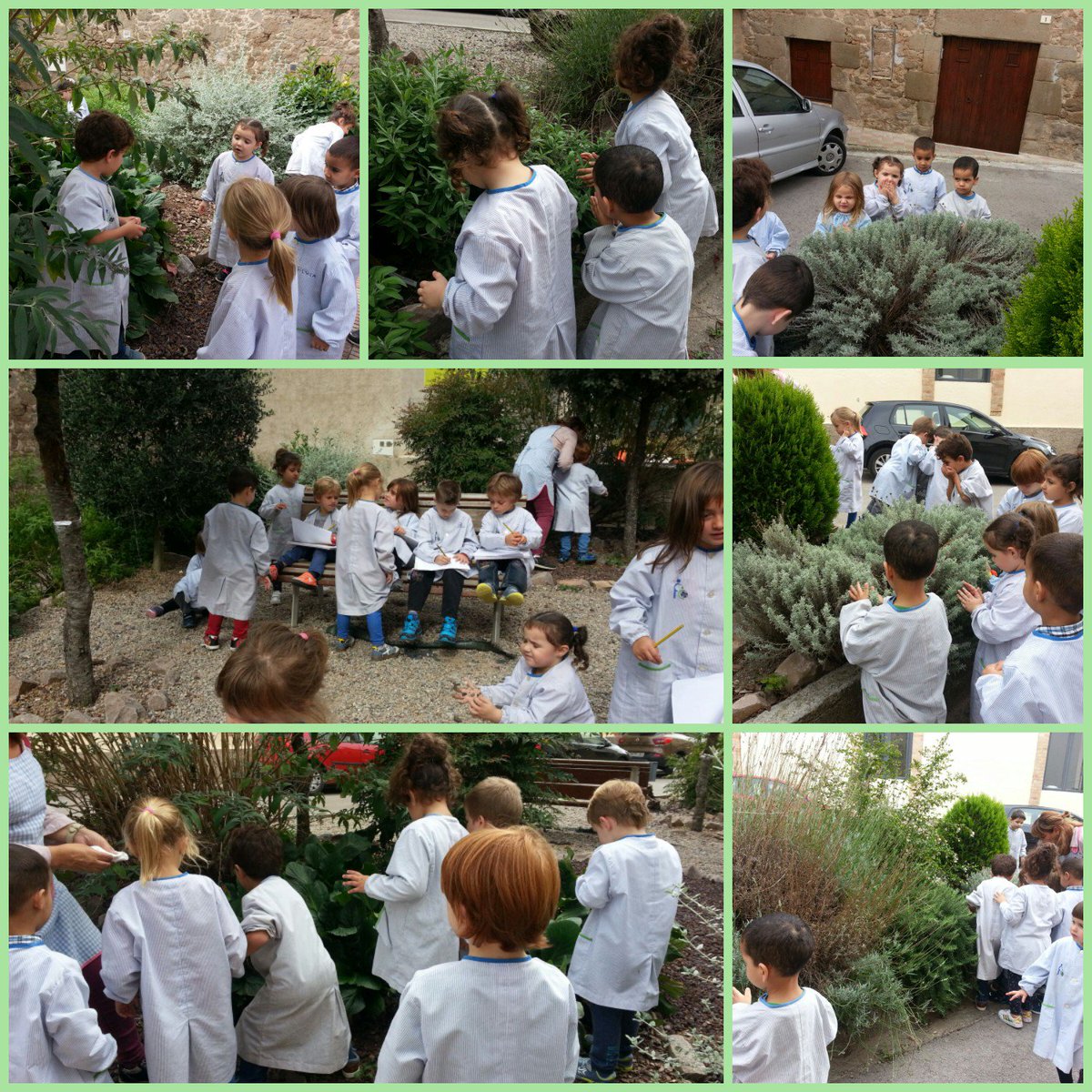 FEDACPrats's tweet photo. Avui Jornades Europees de Patrimoni #JEP17 #EI hem anat al jardinet a observar plantes. Patrimoni natural  del nostre poble #PratsdeLluçanès https://t.co/ZTxeDQHBDV