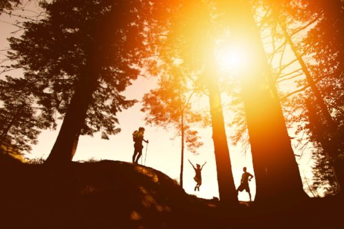 HanoverInn's tweet image. Enjoy an evening #hike at Mink Brook Nature Preserve &amp;amp; drinks at @salthillpub on 10/12. bit.ly/2wZTzBx  #UpperValley #TrailsandAles