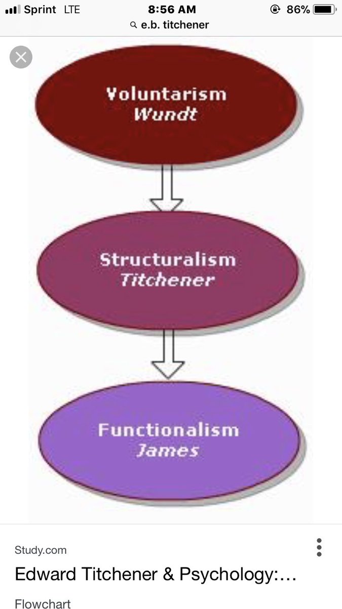 litechener's tweet photo. Bang bang bang look at us @founderofpsych1 @prof_william https://t.co/Byb0UGuniH
