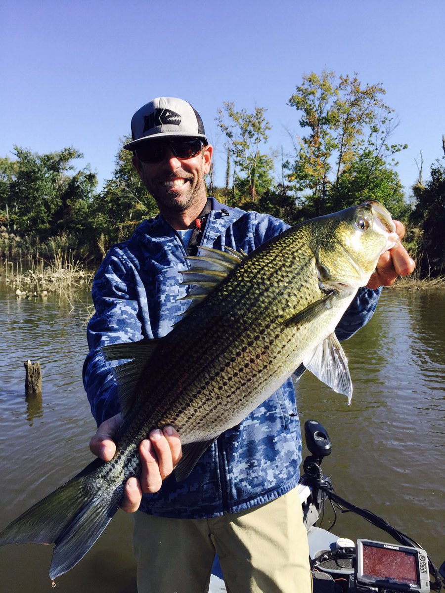 mike_Iaconelli's tweet photo. TGIF! Time to go fishing! @UnderArmour @UAFishing1 #gianthybrid #ikehat https://t.co/eCI9FKhLx1