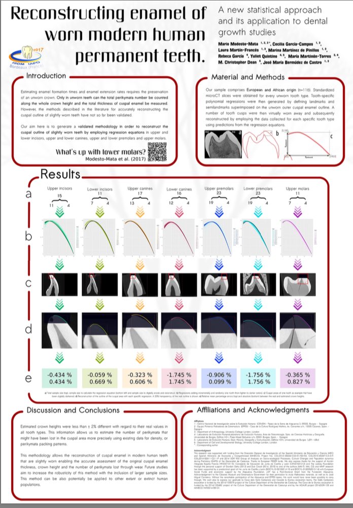 FATAPUERCA's tweet photo. @paleomariomm #posterpresentation #AtapuercaTeam #ISDM2017 @MMartinonT @Jmbdecastro #JulietQuintino #ChrisDean @antrobiolubu1 https://t.co/IiRi7CM4IP