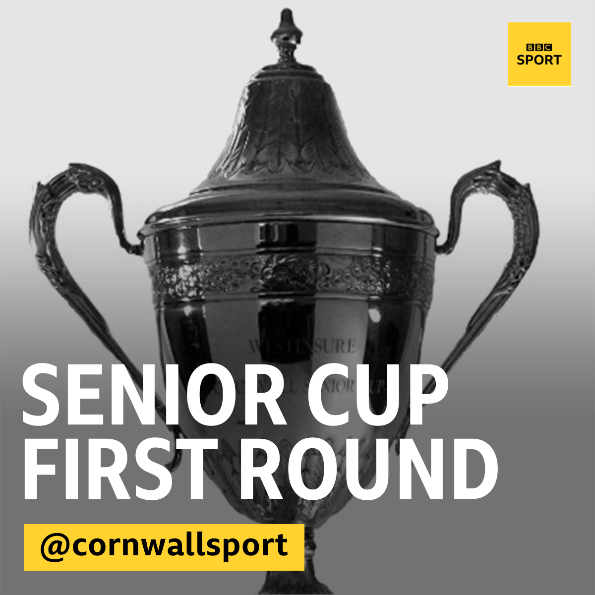 BBC Cornwall Sport on Twitter "Today between 2pm and 4pm. We're going