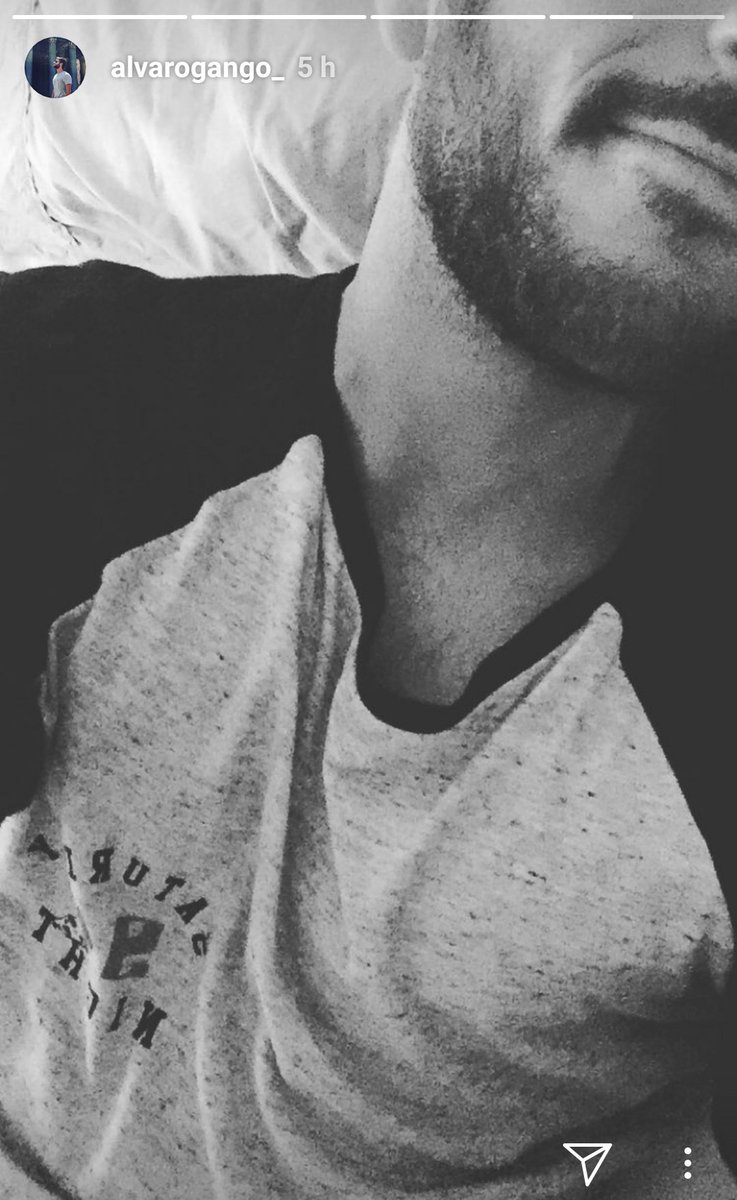 AlvaroGCFARG's tweet photo. Instastories alvarogango_ | @AlvaroGango nos deja un mensaje 💚💚💚💚💚💚 https://t.co/oel7yVVugk