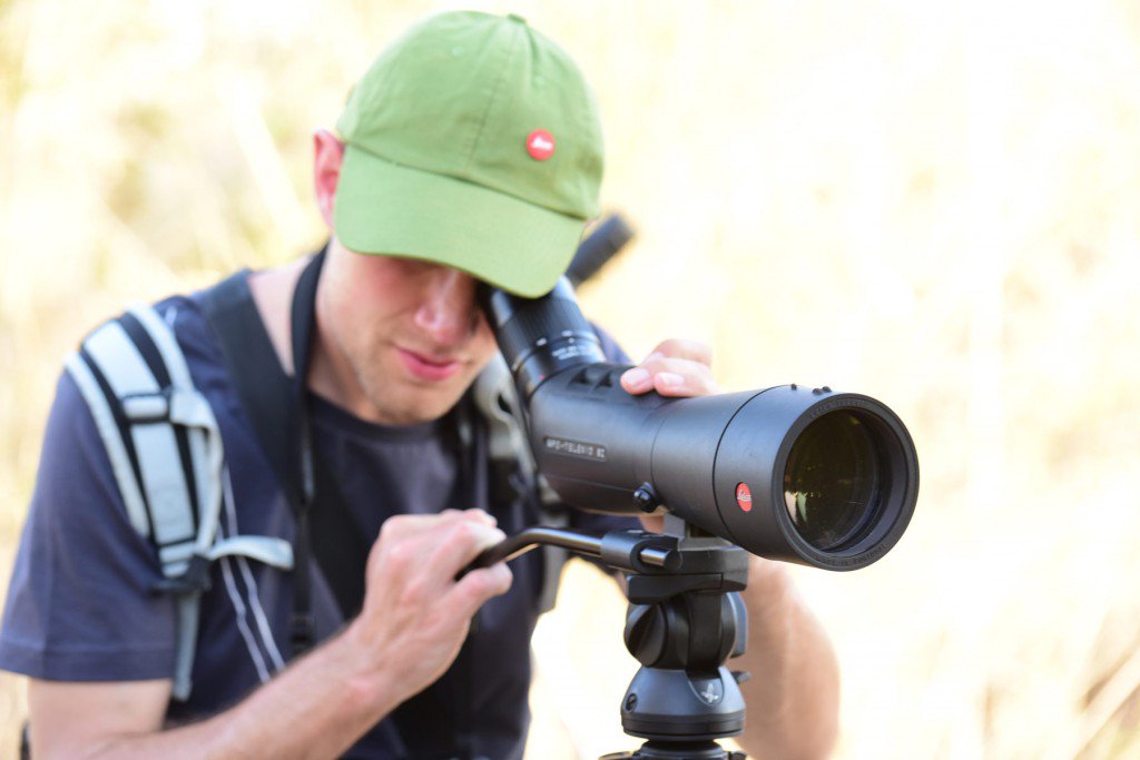 LeicaBirding's tweet photo. Weekend ahead, yay! Will you be out birding?
#Leica #birding #COTF2017 https://t.co/VF50XgAqHC