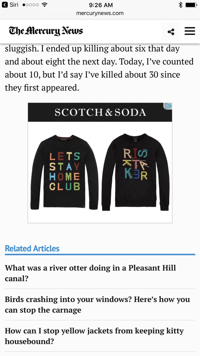 Media Tweets By Stay Home Club Stayhomeclub Twitter