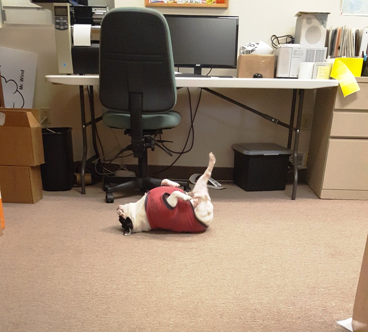 DASKO_Label's tweet photo. WE'VE GOT THAT FRIDAY FEELING!!! #tgif #daskolabel https://t.co/Q3KF31nlX6