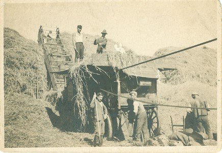 Saffron Walden Museum tweet media