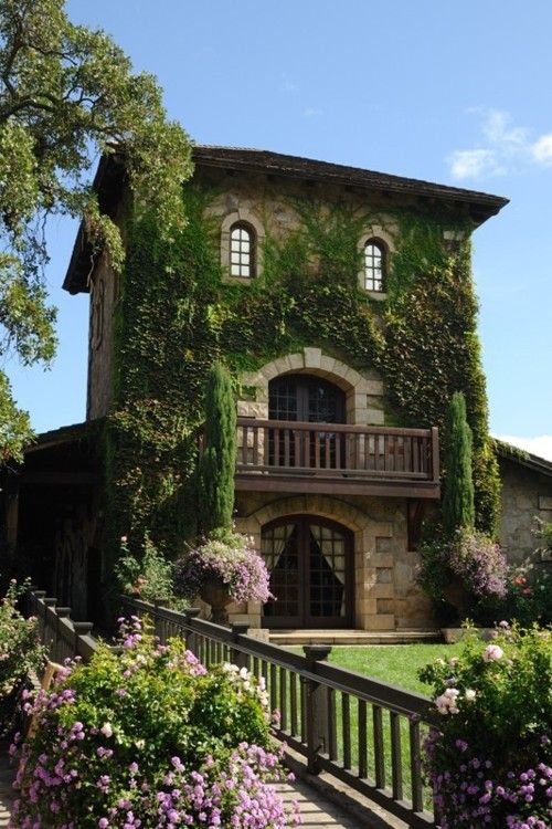 EMKDesigns's tweet image. #FridayFace...