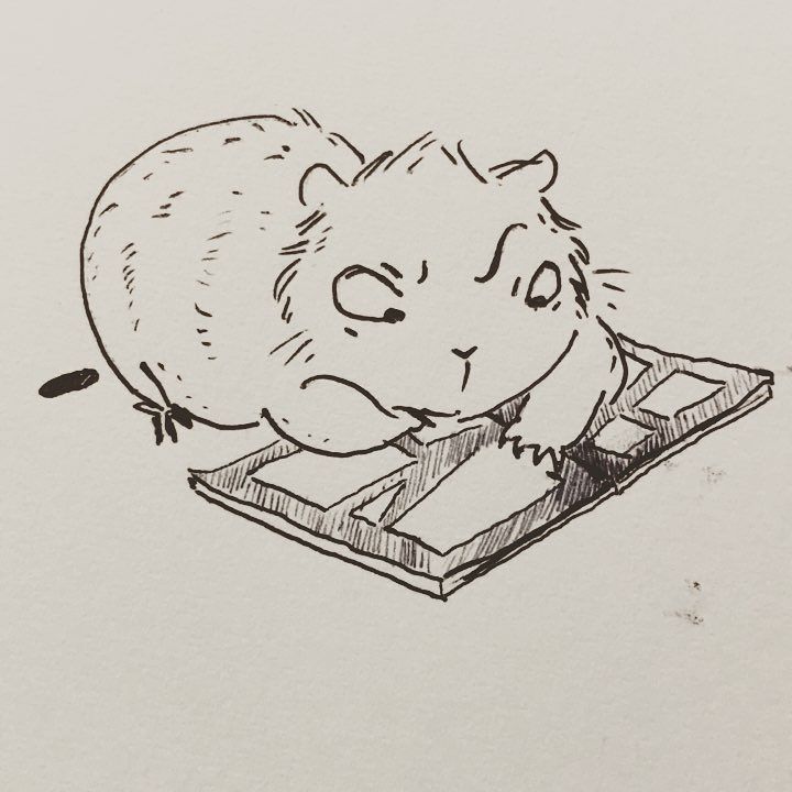 mxyplytx's tweet photo. I haven't posted much because I've been quite occupied with Teekee's routinely meds/treatment since he got sick (h… https://t.co/52ugYDKZwC https://t.co/2bkm36GmuM