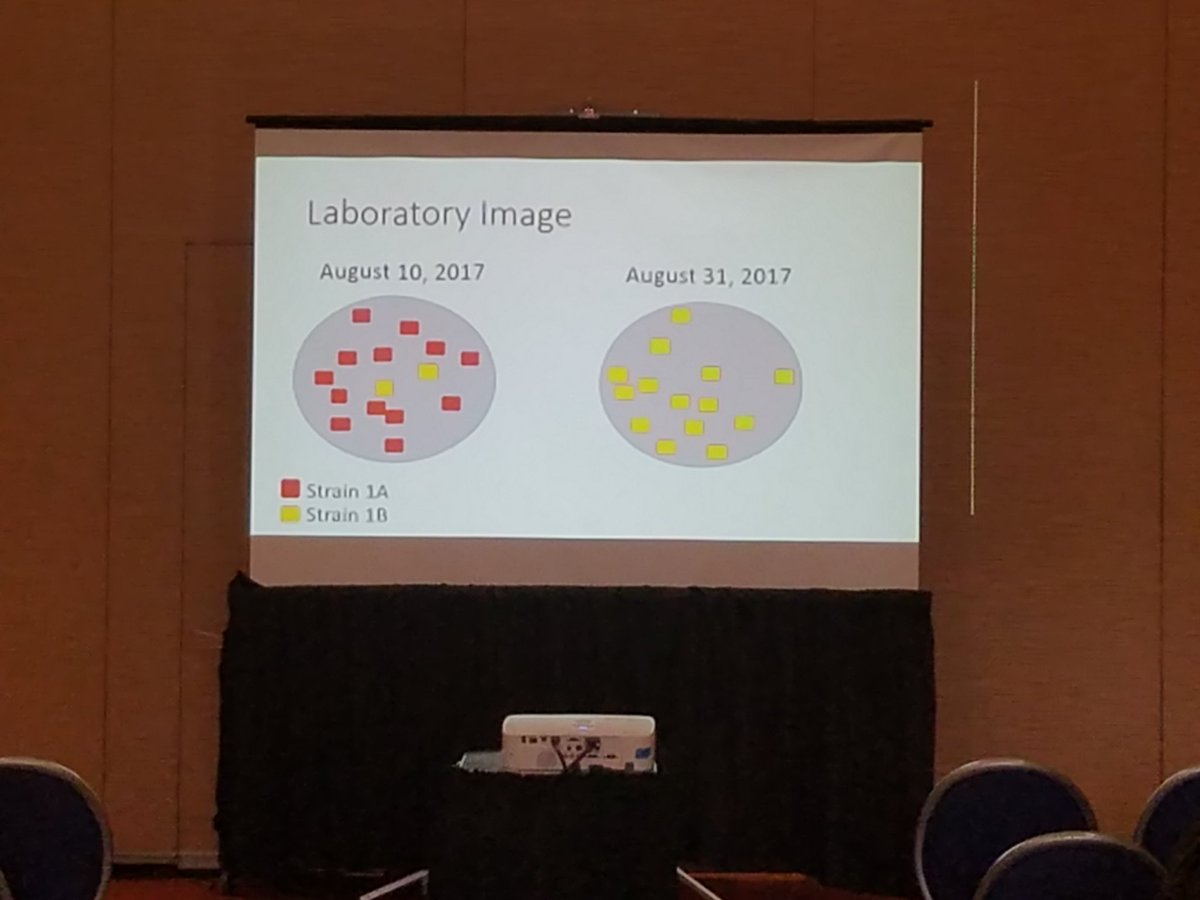 dwntwnjb73's tweet photo. @BCPSSci Amy C @achiliteach at #NSTA17 sharing how she engages Ss in evidence-based reasoning #analyzingandinterpretingdata https://t.co/KrPWB64WVV