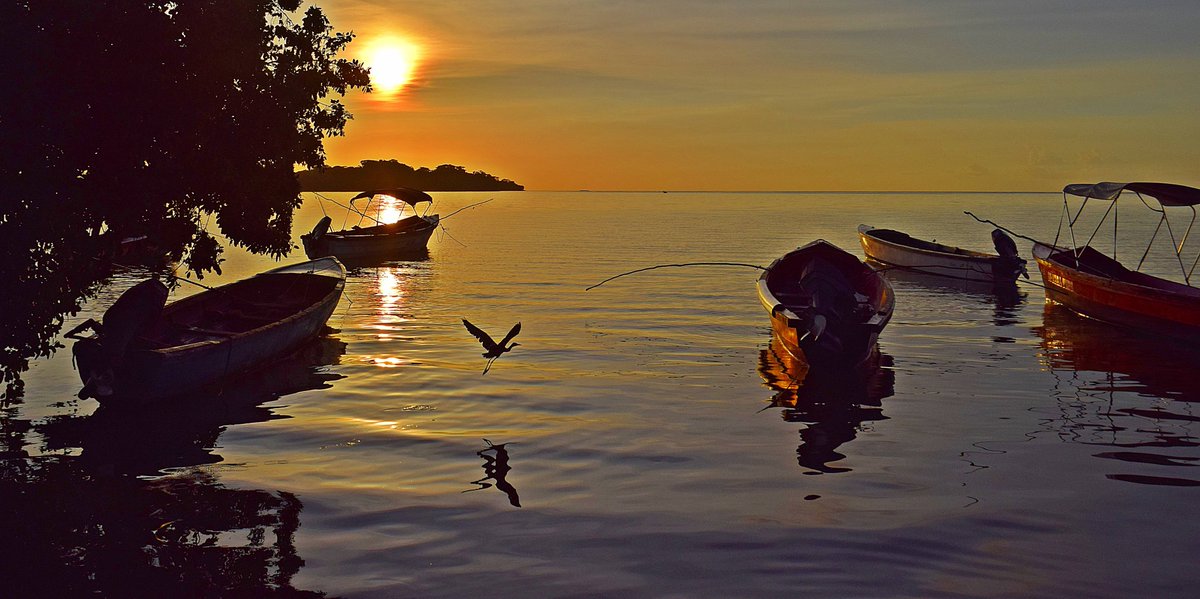 servelmiller's tweet photo. Fly Me to Paradise. My Jamaica Photo competition. Please vote and share https://t.co/GpwQlWMLnk  @JamaicaObserver @uochester @doGOODJamaica https://t.co/EMX0hdMeXI