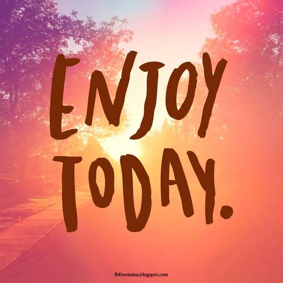 _HaruApp's tweet photo. TGIF! How will YOU #Haru today? #Friday #FridayFeeling #HaruApp https://t.co/eDQ9qWyUWW