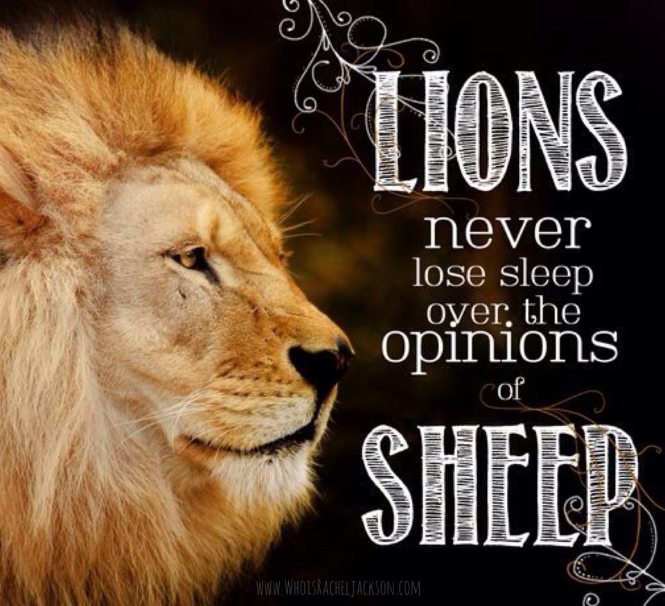 dmark15's tweet image. 