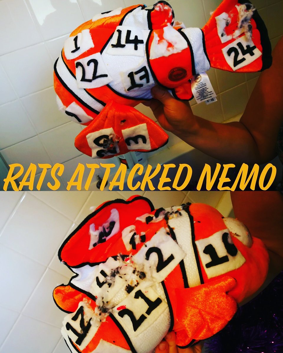 2Birds1LoveLol's tweet photo. When rats have attacked your handmade advent calendar 😫😫😫#devostated #poornemo #handmade  #stupidloft @Disney @DisneyPixar @findingnemo_fan https://t.co/hlVmKgF0nq