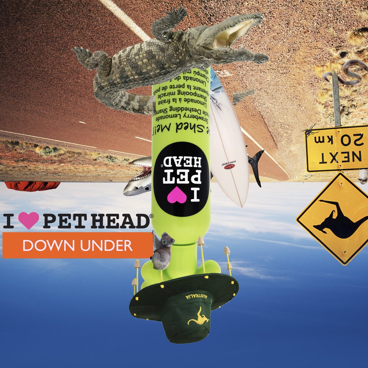 G'day Sheilas from England 🇬🇧 Did you know Pet Head is available in the great outback? 🇦🇺