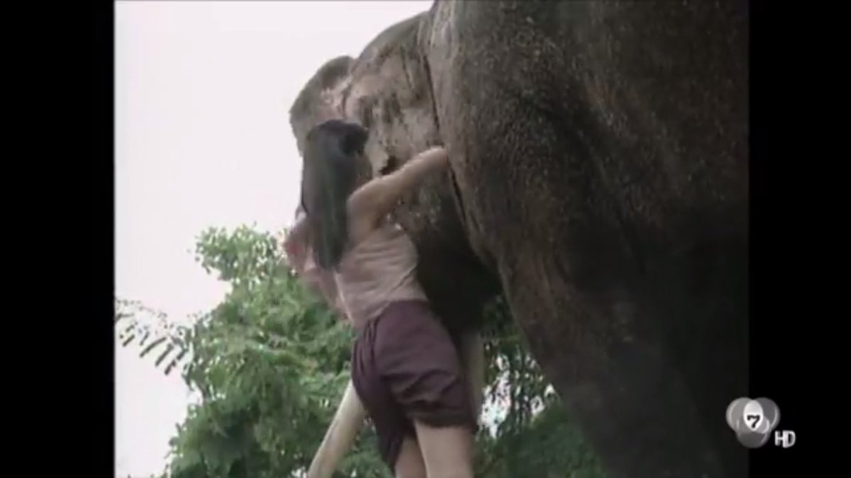 UnderbedDara's tweet photo. คุณหนูเรณูนวลจอมแก่น...เอ็นดูชีแม่ 13 ปีเบาๆ ไม่���านเท่าไหร่เนอะ 55555

#ใต้เตียงดารา #ฟ้าใหม่ #อั้มพัชราภา https://t.co/t4TjZzqvDP