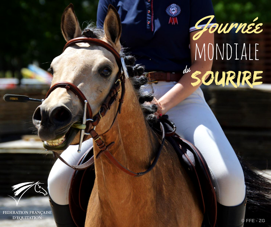 FFEquitation's tweet photo. Aujourd'hui c'est la #JourneeMondialeDuSourire !!! Même les poneys s'y mettent alors faites comme eux, dites "ponyyyyy" ! 😄🐴 https://t.co/KjR3uJLkLk