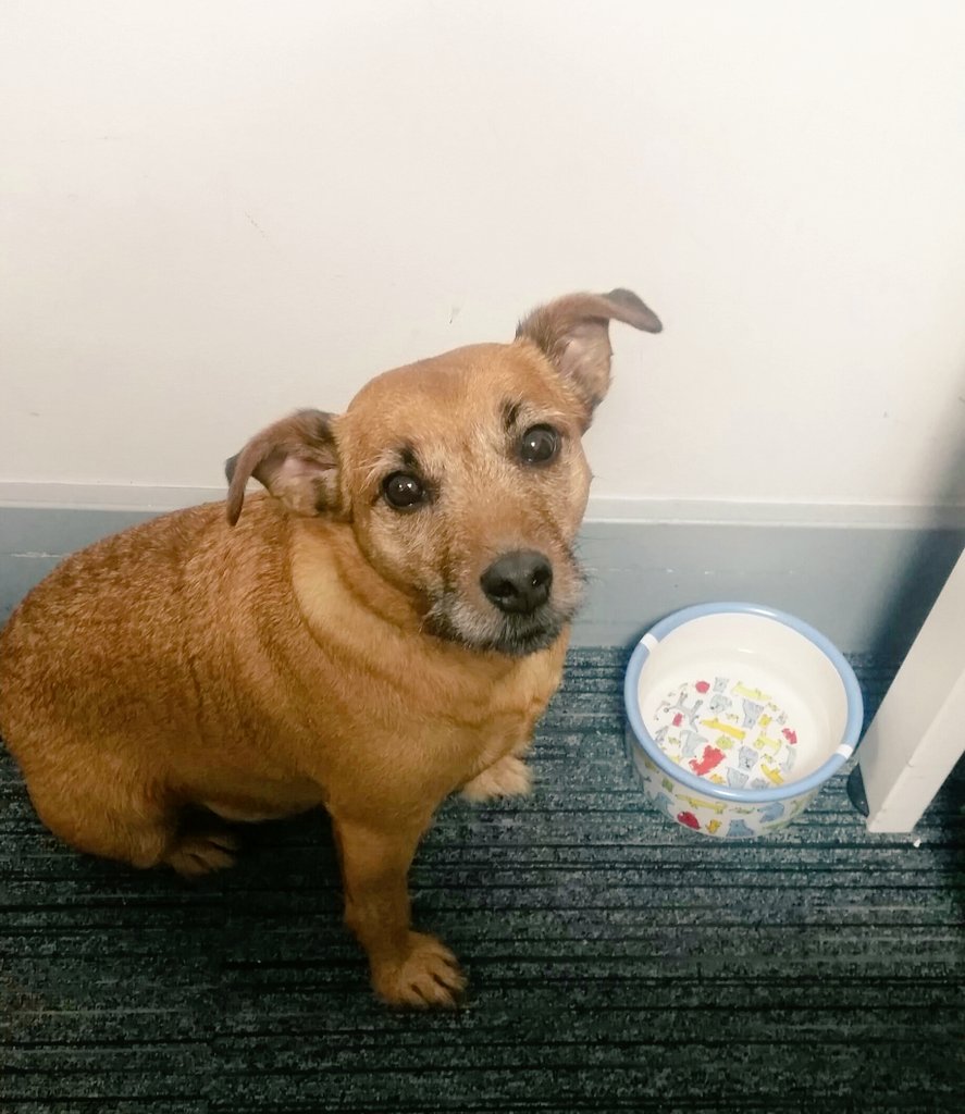 Loving coming into work today #sykescottages #roxy