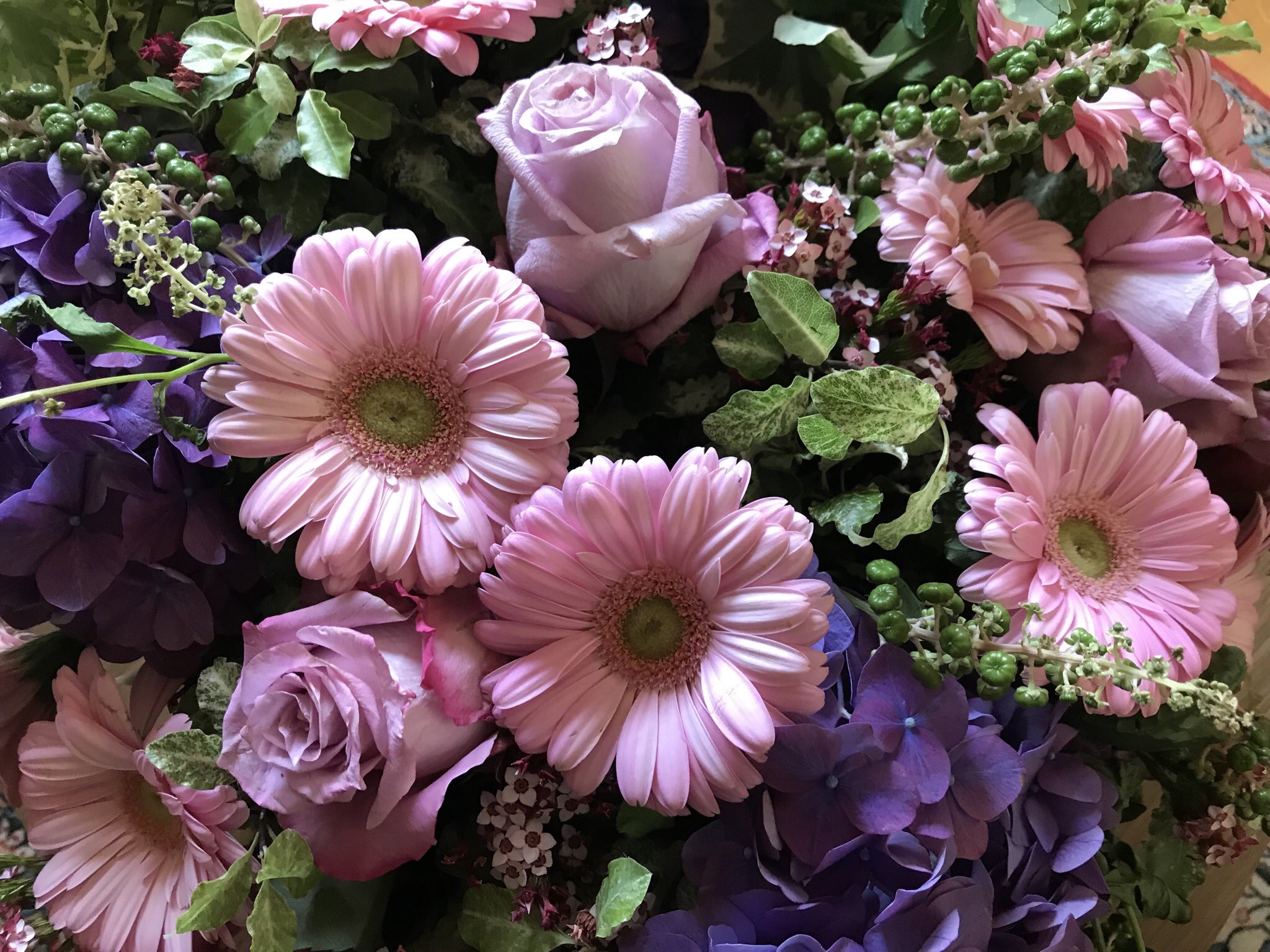 辻仁成 בטוויטר 誕生日の朝に花屋さんが届けてくれた薔薇のパニエ しかし差出人不明 花屋さんはネット注文だから調べようがない と カードにはhappy Birthday To Hitonari Sanと英語で どなた様ですか ま いいか 素直に ありがとう 笑 おやすみ 日本 よく