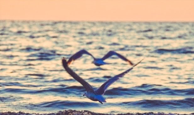 __kh__a's tweet photo. ⠀

|❥

#همسة_مساء🦋
.
#اللهم لا تـجعل في #قلبـي " مالا يرضيك"
_____ فـ يـبعدني عن مايرضيك عنـي 🦋
.
.
.
#ريتويت
#همساتي
 #عٍطٌر_آلگلآﻤ❥࿐
💔💔 https://t.co/44hEgDVYL2