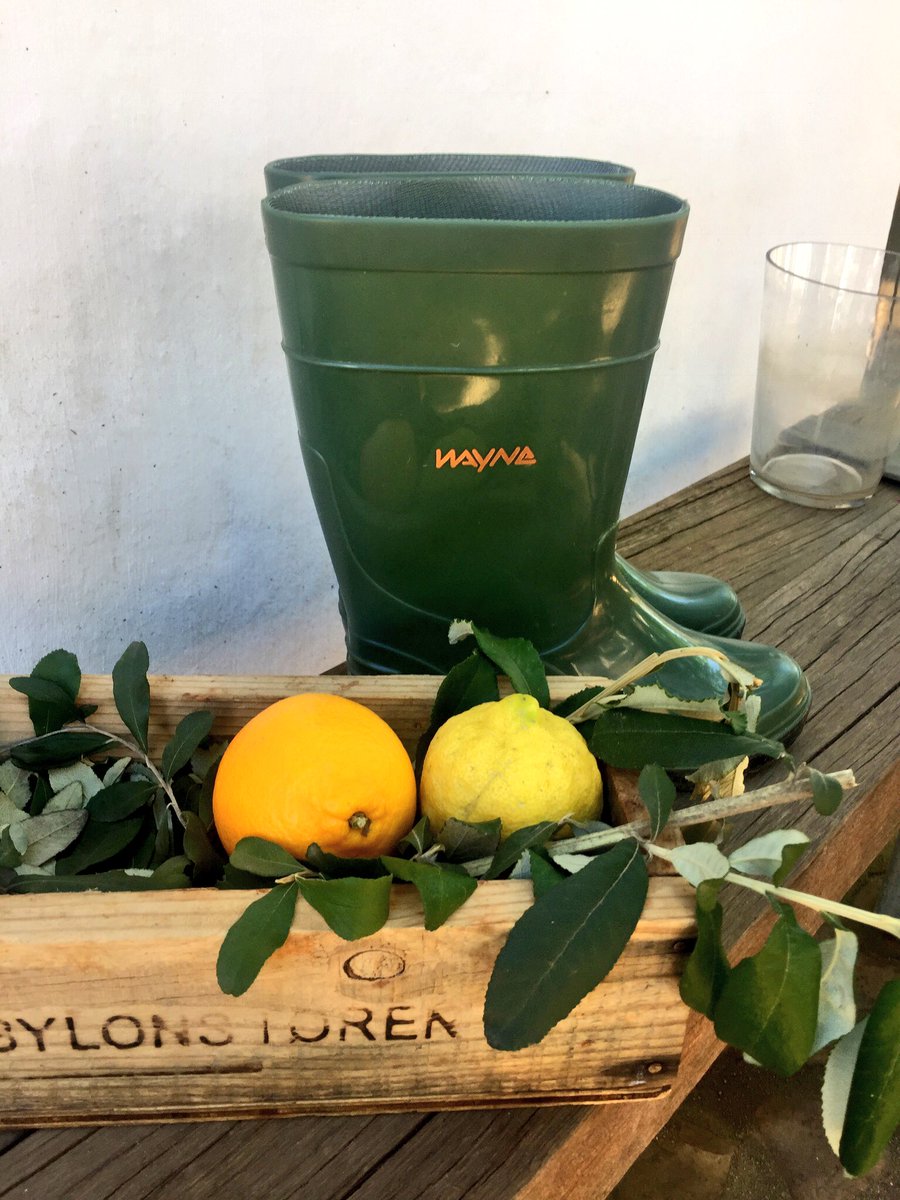 Thank <a href="/babylonstoren/">Babylonstoren</a> for hosting us today on your beautiful country estate. #sitevisit #luxurytravel <a href="/weddingconcepts/">Wedding Concepts</a>