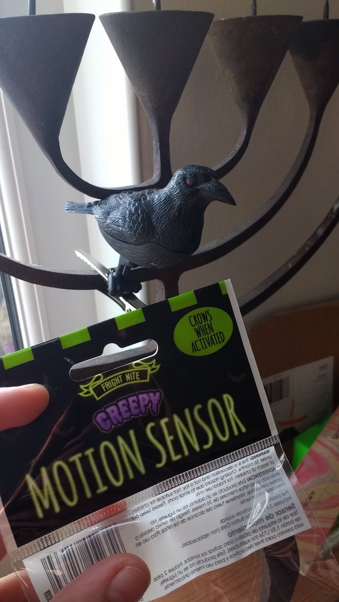 Haf_S_B's tweet photo. Oh yes! Best buy so far! #Halloween #itsbegun 👻🎃🕷️🕸️ https://t.co/Oy63w8zud4
