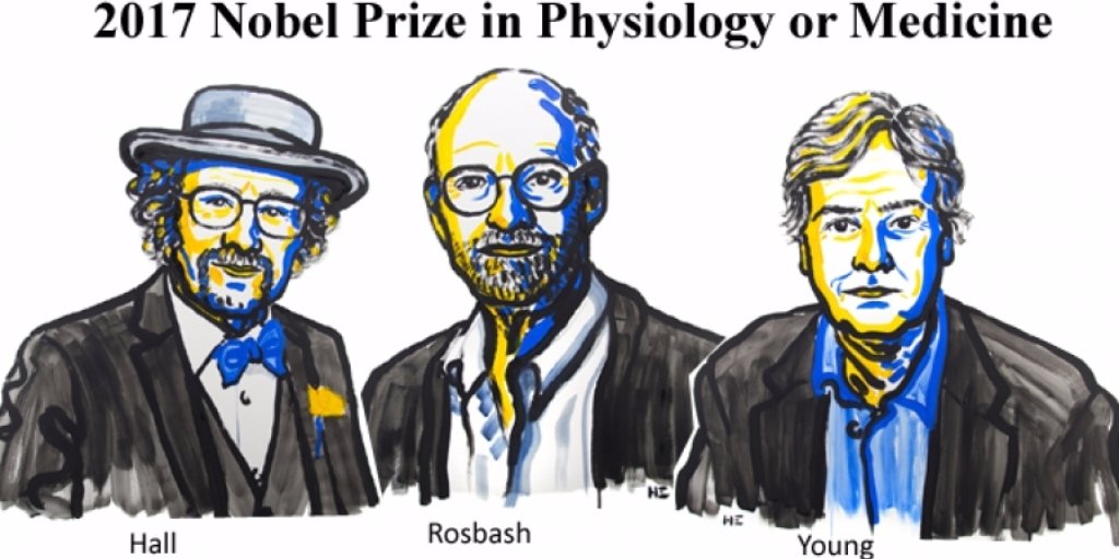 CORDIS_EU's tweet photo. 2017 @NobelPrize for #Physiology or #Medicine goes to studies on our #inner #body #clocks. See https://t.co/2IdnRTivSA #TrendingScience https://t.co/NQpjbJWg1G