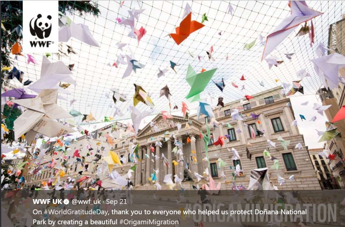 chrisgeeuk's tweet photo. #LivingPlanetCentre talk with @Craftivists https://t.co/2ZtcJoJVLm. #Craftivism inspired @wwf_uk #OrigamiMigration https://t.co/bZoDFZKhjA https://t.co/NdRbfuJozw