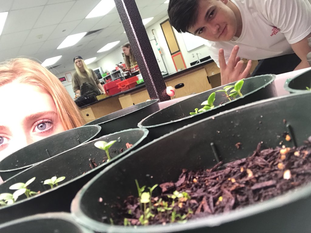 da_steps2save's tweet photo. #plants 🌱🌱 https://t.co/GrnTv5Yr6D