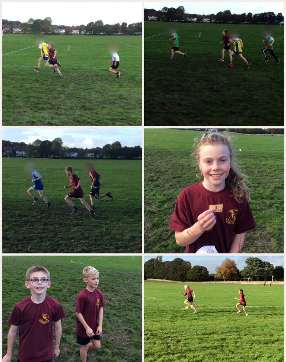 Cinnamon Bears (TPSCinnamonBear) Twitter