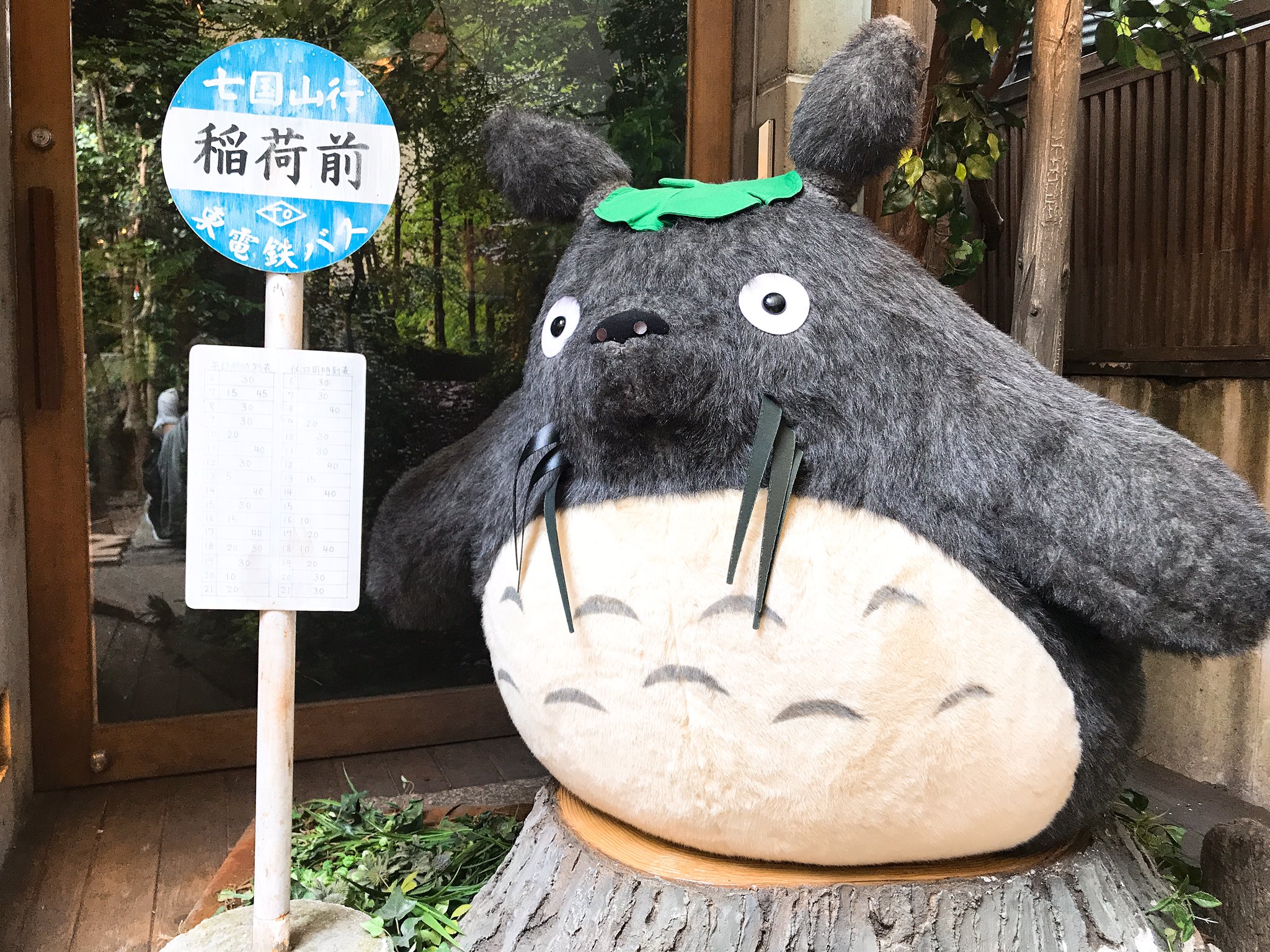 Miu Auf Twitter 京都 どんぐり共和国 ジブリ トトロ メイちゃん ジジ ファインダーの越しの私の世界 T Co Wn5pwgqr8h Twitter