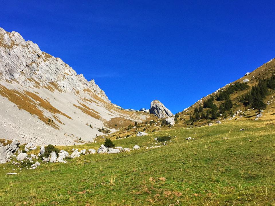 peakdate tweet picture
