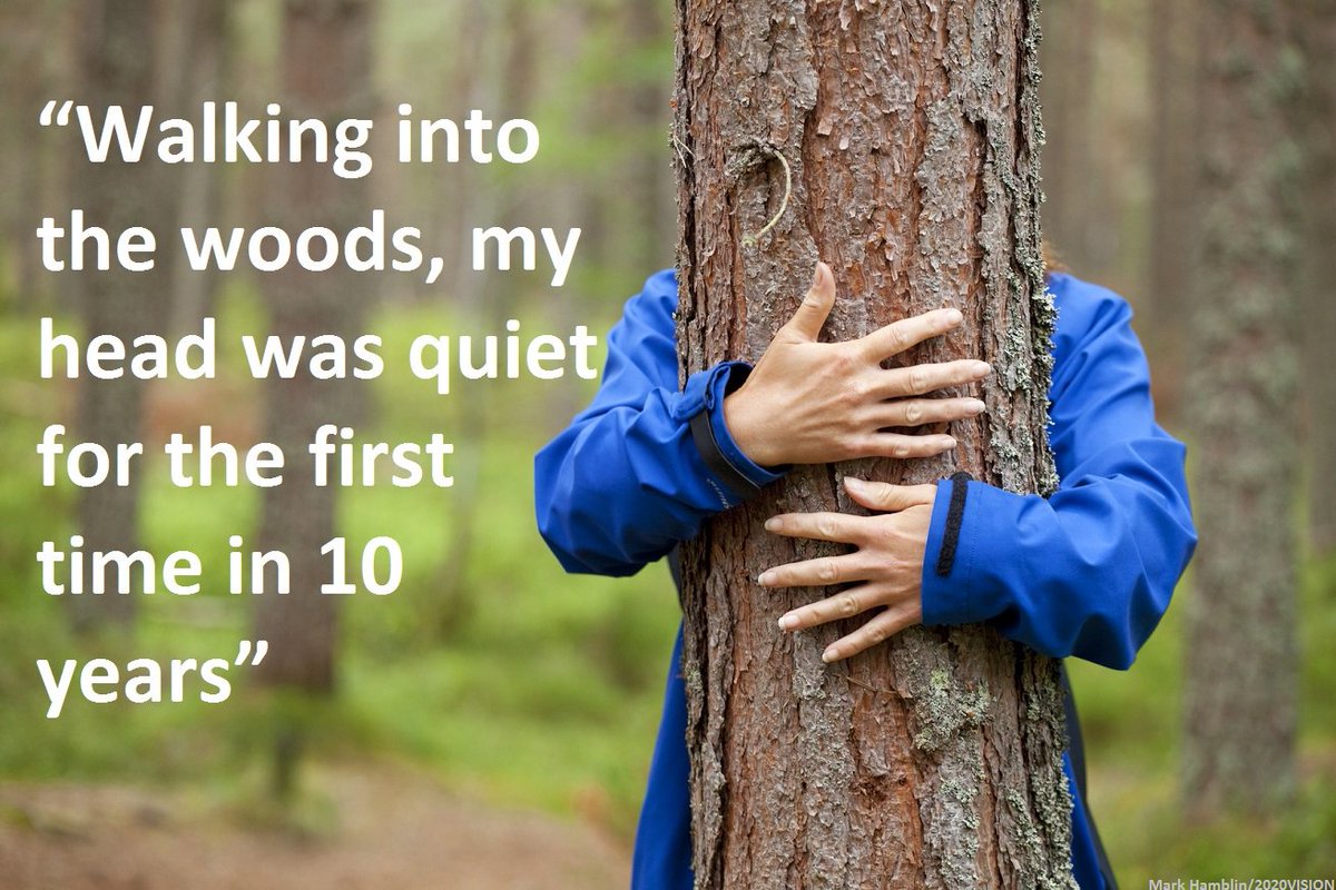 WildlifeTrusts's tweet photo. Could nature be widely prescribed by doctors as a therapy? https://t.co/ljyUptQMHX #Wellbeing https://t.co/F72OP3rBiC