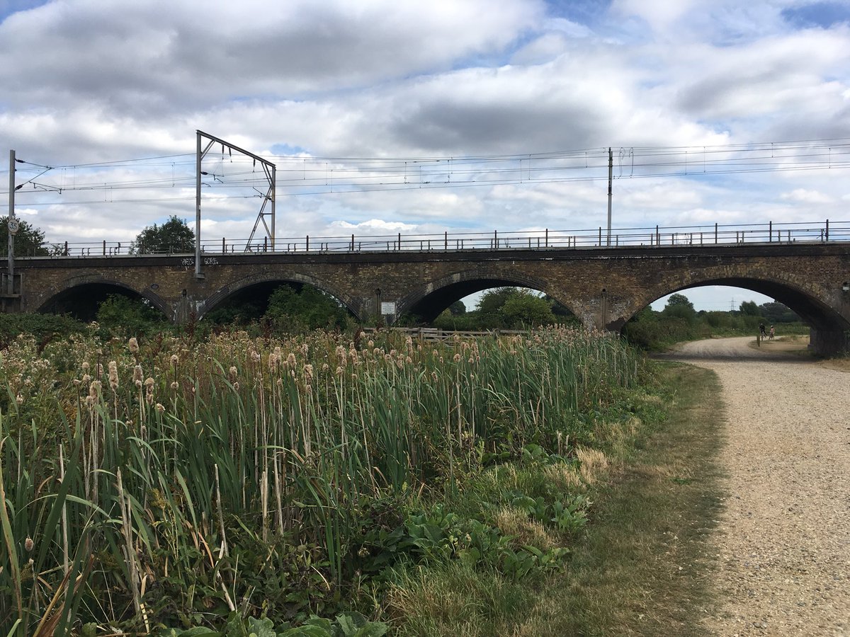 smeadleonard's tweet photo. Today’s #FridayField is another of my research sites - bit different from the last, though. Marches and meadows along the River Lea, London. https://t.co/fvDUn6mnmZ