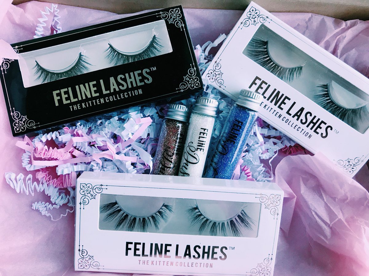 Carton Boxes packaging