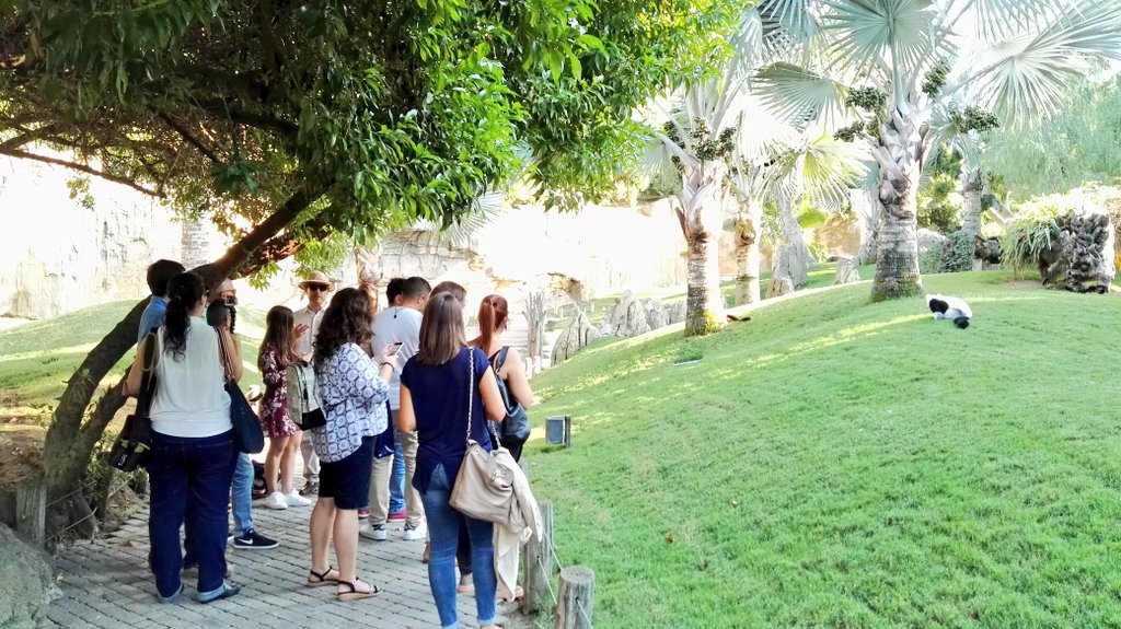 Bioparc's tweet photo. Recibimos en BIOPARC al #ProfesorExplorador ☺ #DigitalCEU #ExperienciasBioparc https://t.co/edPRD4M2ZY