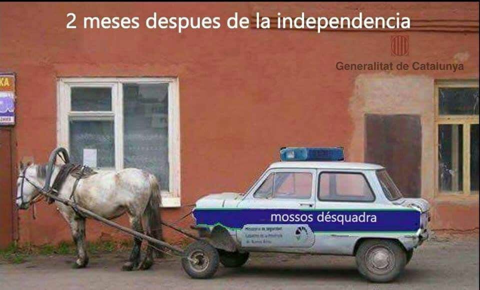 AA.VV. Pardaleras (@pardaleras2017) on Twitter photo 