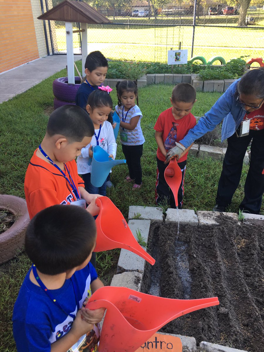 Tobi0822's tweet photo. Our 3yr olds love watering seeds in the garden @FARIASECC @FariasGarden @mnevarezsolis @jdoria8 @Ms_L_Garcia @theglenoec @HISDECH https://t.co/AArlH9oqkT