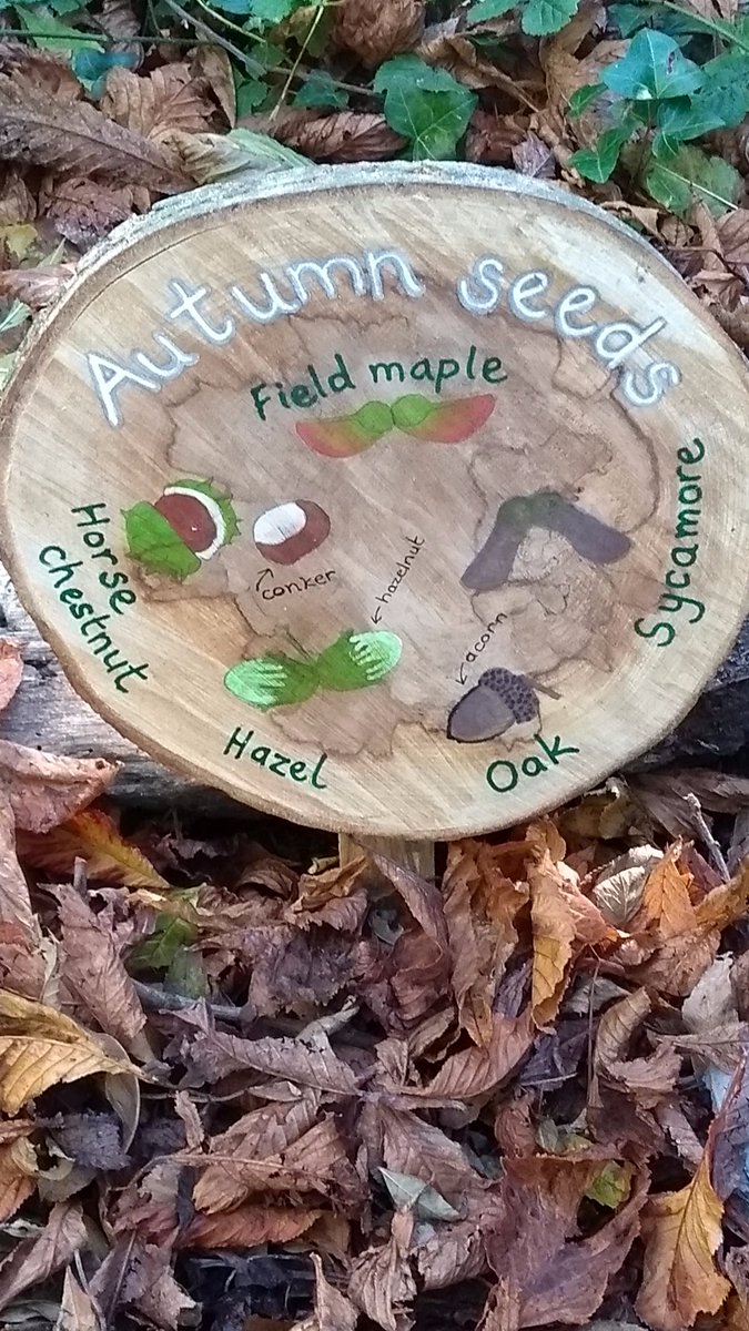 RosalieSims's tweet photo. Using giant tree cookies to make #signsofautumn https://t.co/2086qOY7BI