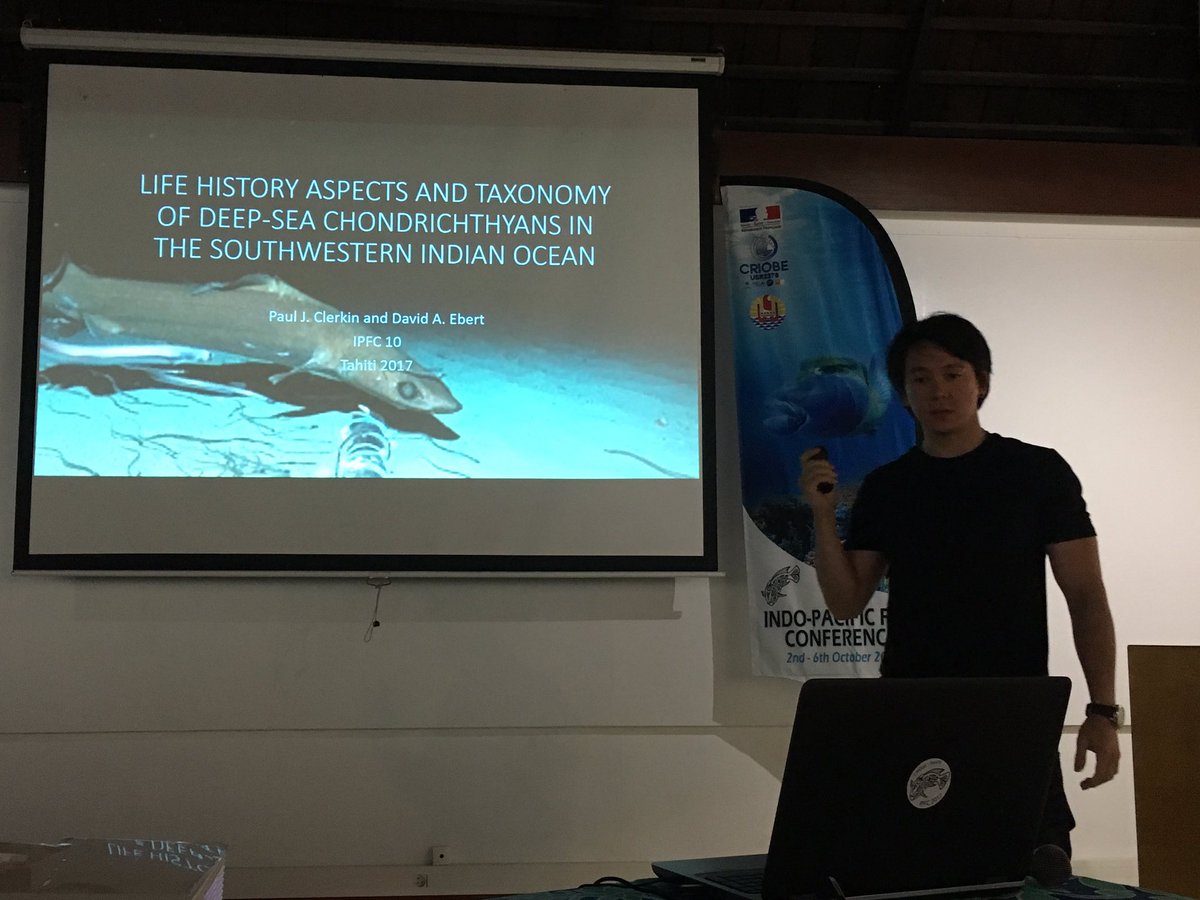 <a href="/PaulJClerkin/">Paul J Clerkin</a> tells us about the hard to study life history of deep sea sharks. #SharkScience #IPFC10