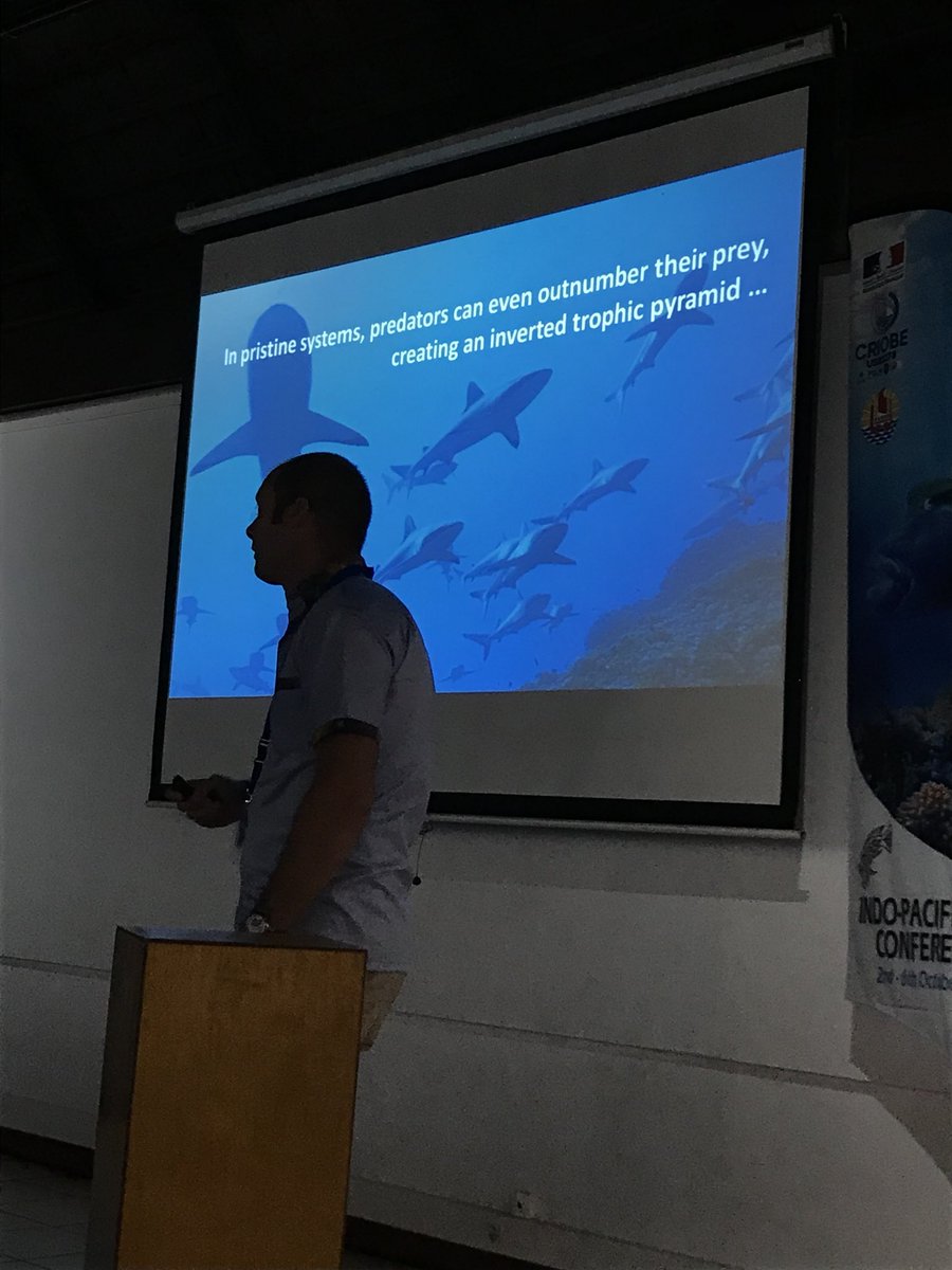 physiologyfish's tweet photo. Heard about next steps for @SharkMourier w/ grey #reef #shark #grouper #spawningaggregation #fakarava at #IPFC10 https://t.co/ncFI2MUcZc