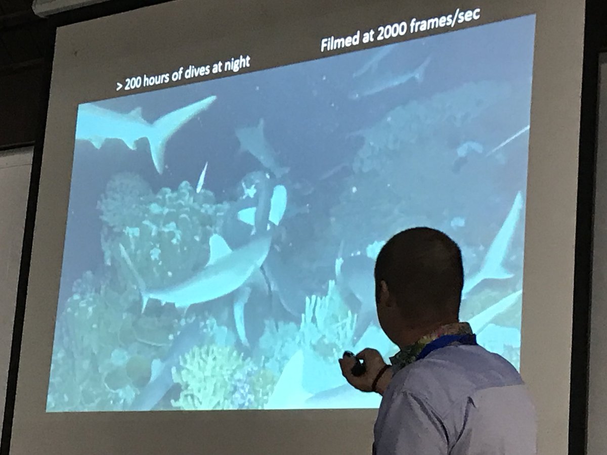 physiologyfish's tweet photo. Heard about next steps for @SharkMourier w/ grey #reef #shark #grouper #spawningaggregation #fakarava at #IPFC10 https://t.co/ncFI2MUcZc