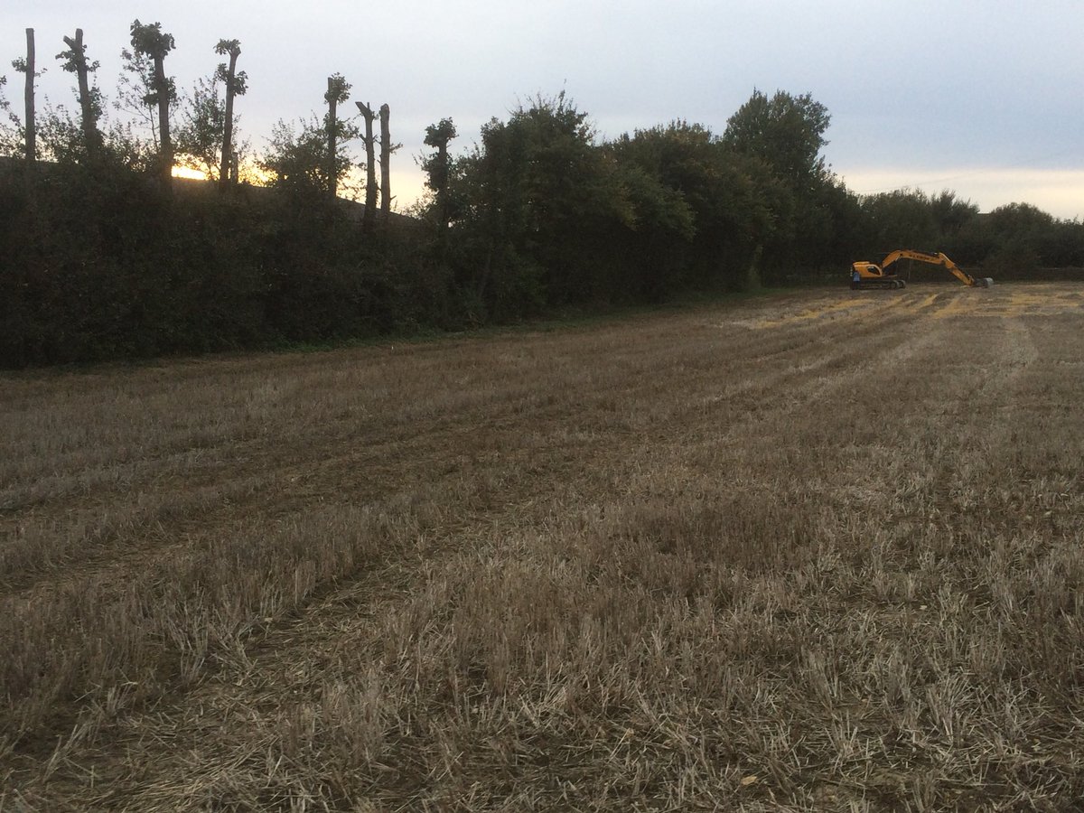 chippstorage's tweet photo. This empty field doesn’t look much right now, but with the help of this digger who knows what could happen... Watch this space! 👀 https://t.co/N32z5oCx5x