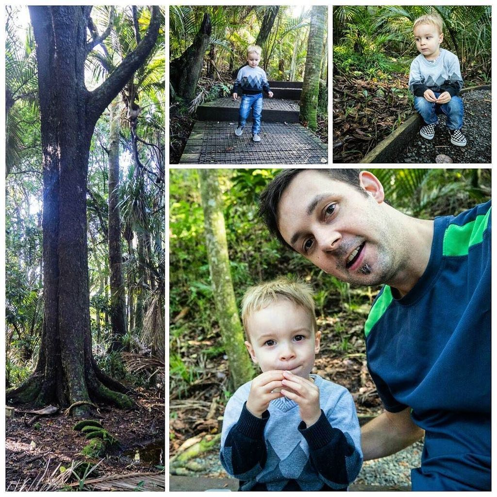 Thanaz's tweet photo. I love my bush walks with this guy.
.
.
.
#mhawnz #bushwalk #toddler #toddlerbackpack #snack #trees #treebathing #… https://t.co/E6cOPn2cYs https://t.co/fkMgIC4OSW