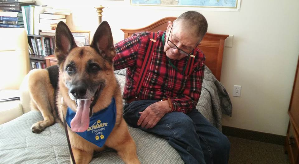 Falcons Landing tweet media