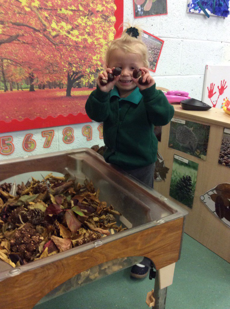 LisaBellamy13's tweet photo. Look what we found in our Autumn sensory tray! @IsherwoodMrs @MrsHughesx @TheDistrictCE https://t.co/W8YnrFU81Q