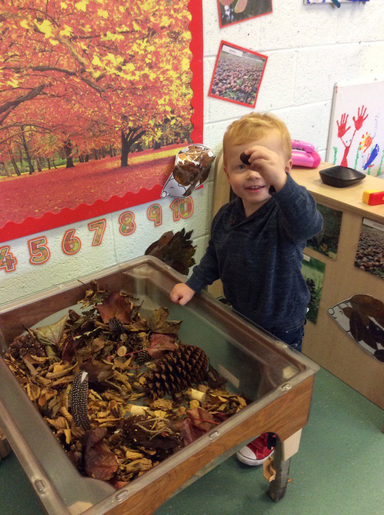 LisaBellamy13's tweet photo. Look what we found in our Autumn sensory tray! @IsherwoodMrs @MrsHughesx @TheDistrictCE https://t.co/W8YnrFU81Q
